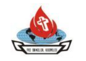 Eswatini Chess partner logo 1